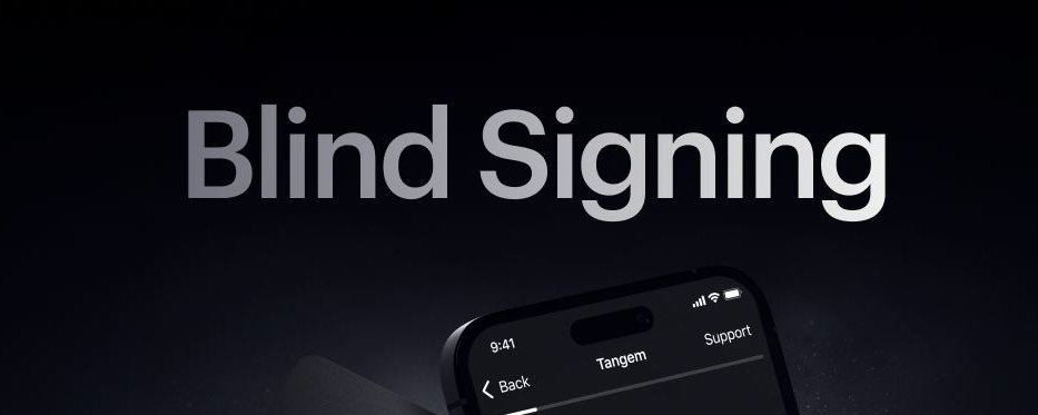 What Is Blind Signing?