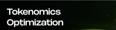 Tokenomics Optimization