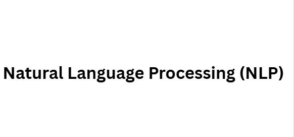 Natural Language Processing (NLP)