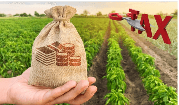 Monitor Tax‑Loss Harvesting Opportunities