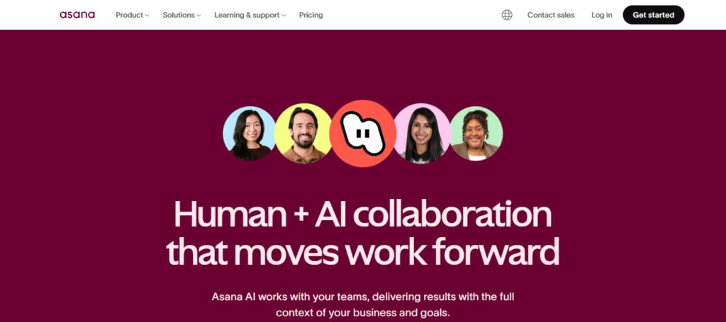 Asana AI
