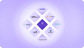 Top Fraud Detection Tools Financial Companies Are Buying