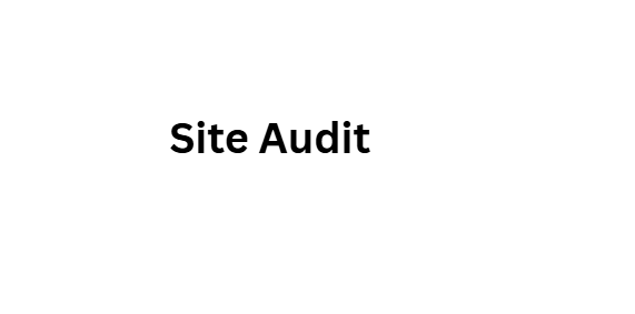 Site Audit