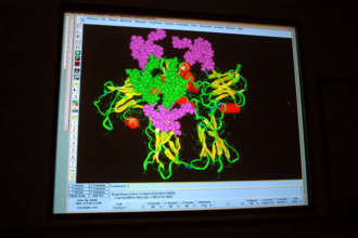 10 Best AI Protein Folding & Molecular Docking Software 2026