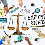 10 Best EPLI Insurance Carrier Options for Employers 2026