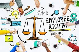 10 Best EPLI Insurance Carrier Options for Employers 2026