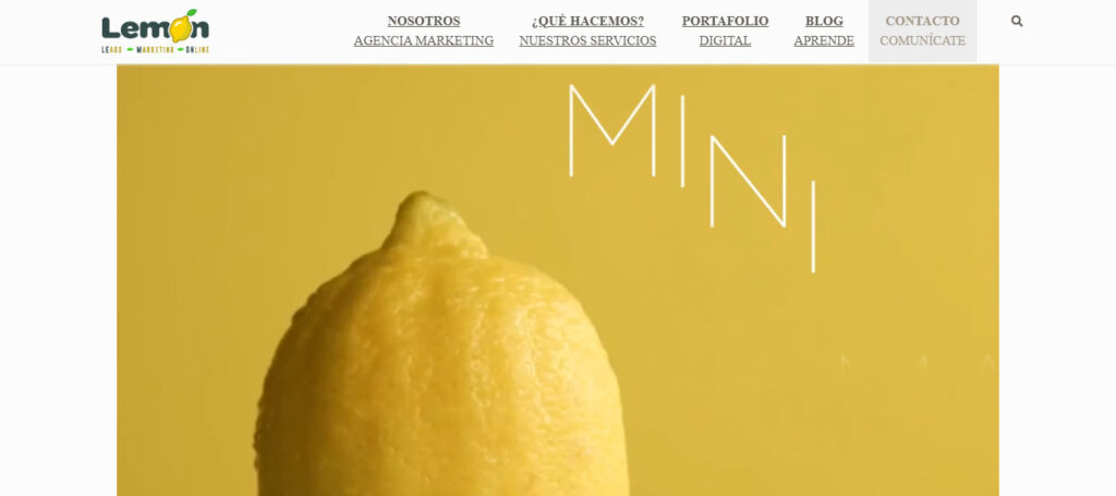 Agencia Lemon Digital Perú