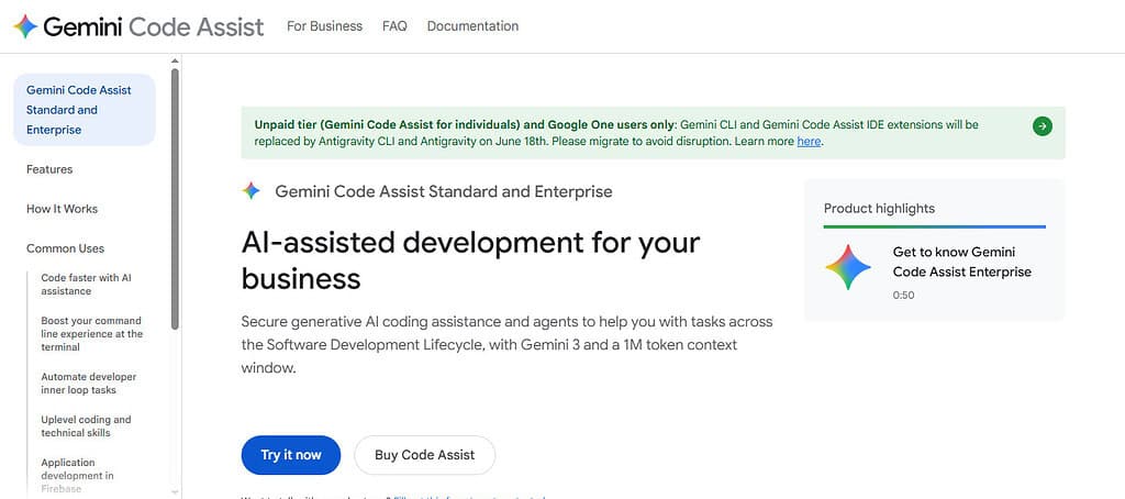 Google Gemini Code Assist