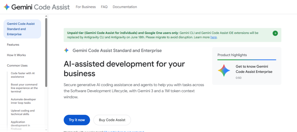 Google Gemini Code Assist