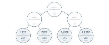 Proof‑of‑Solvency AI Audits