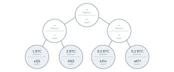 Proof‑of‑Solvency AI Audits