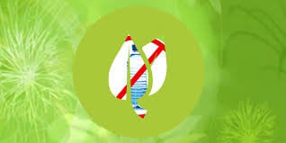 Green Protocol Demands