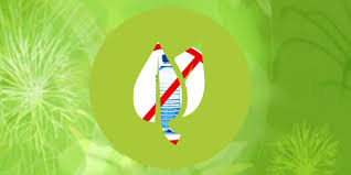 Green Protocol Demands