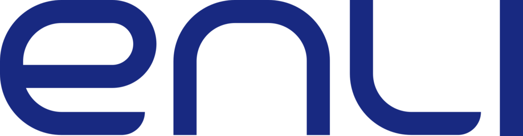 Enli Health Intelligence AI Audit