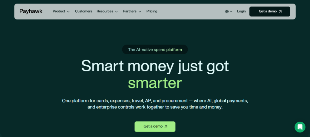 Payhawk AI Audit
