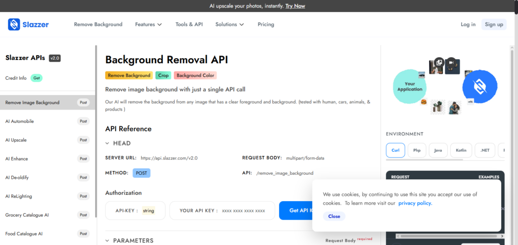 Slazzer API