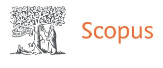 Scopus API