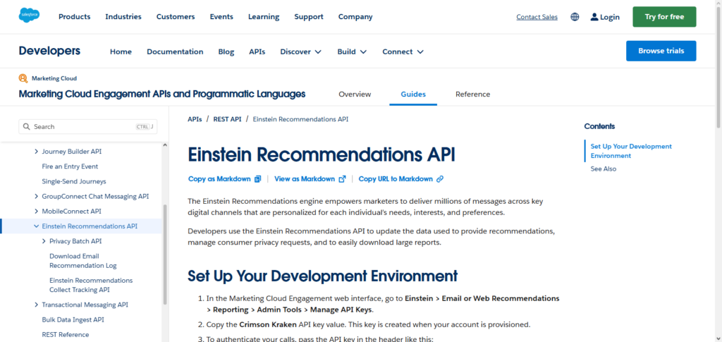 Salesforce Einstein Email API