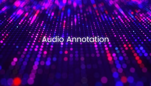 Speech & Audio Annotator