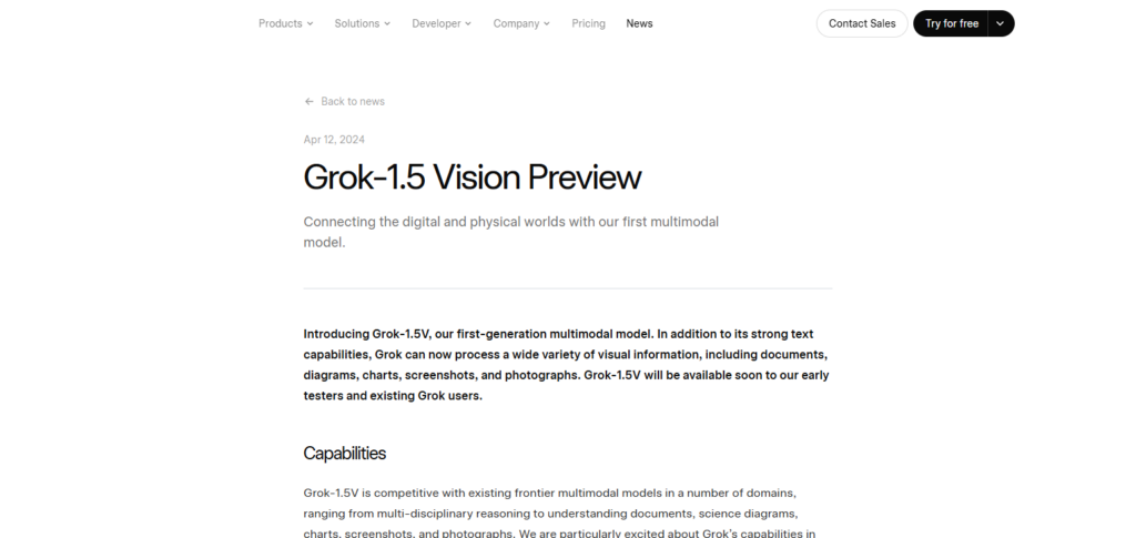 . xAI Grok Vision