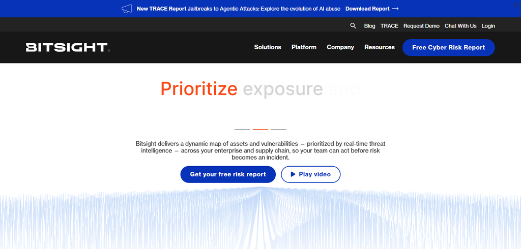BitSight