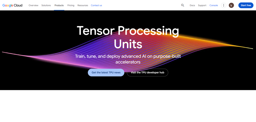 Google (TPU)