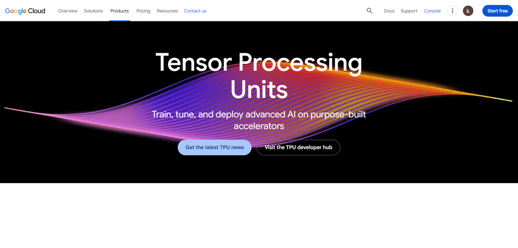 Google (TPU)