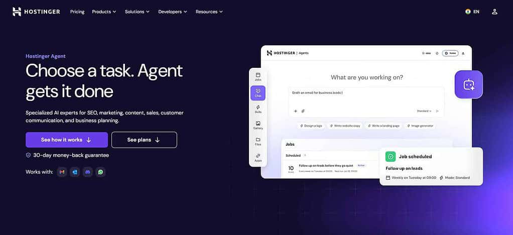 Hostinger Agent