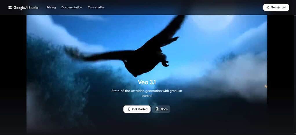 Google Veo 3.1