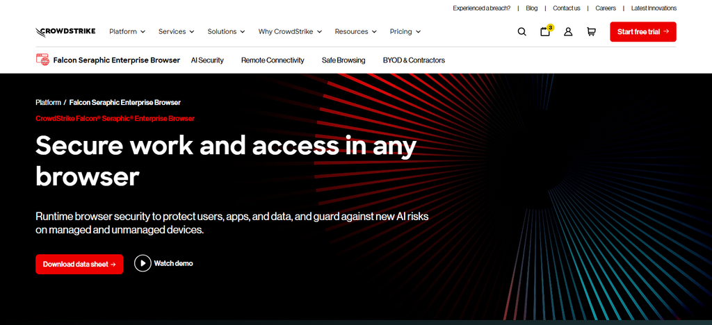 CrowdStrike Falcon Secure Browser / Seraphic
